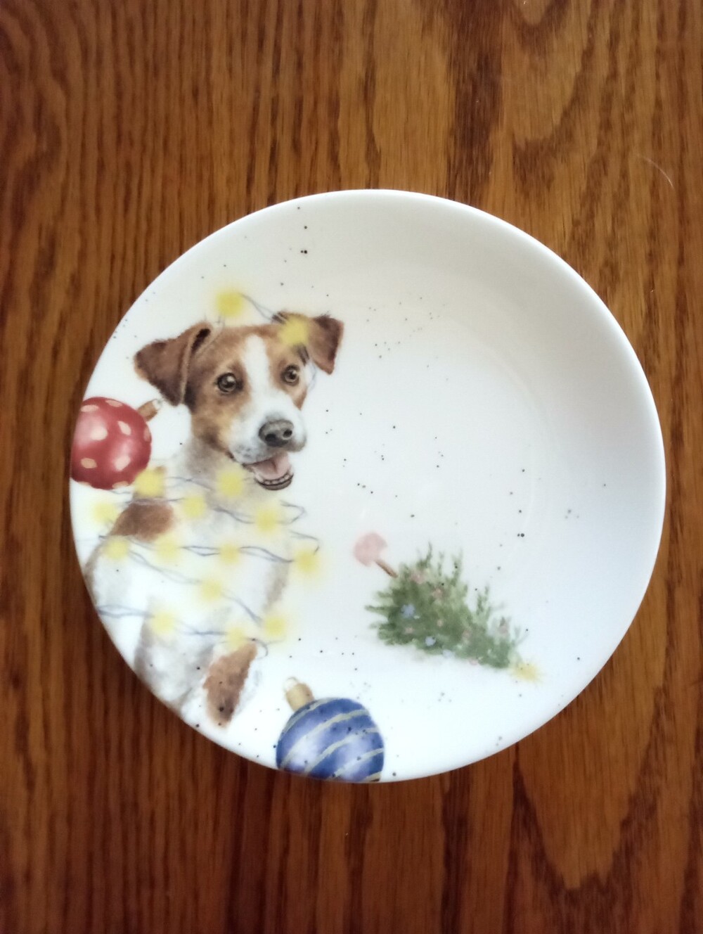 New Christmas Dog Royal Worcester Fine China Saucer